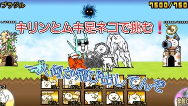 にゃんこ 大戦争 日記 🐱 未来編 第1章 ブラジル 🇧🇷 ゲーム 動画