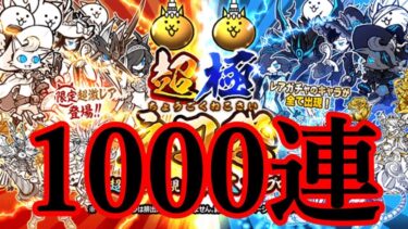 🍕#Battlecats ❗年末までにレアチケ１０００枚集めるゾ❗#shorts #ysshorts #shortfeed 【にゃんバロ～😼👍 】 #縦型配信 #雑談【#にゃんこ大戦争  】🎃