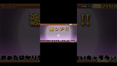 にゃんこ大戦争極猫祭10連！#ゲーム実況 #ガチャ #ゲーム #にゃんこ大戦争#極ネコ祭