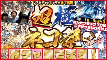 レアチケ240枚以上！プラチケ10枚！超極ネコ祭ガチャひきます！【にゃんこ大戦争】ゲームプレイ生配信712【無課金です】