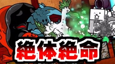 【にゃんこ大戦争】遂に来た！にゃんこ道検定 十二段 昇段試験3！えっ！？この状況で入れる保険があるんですか！？【本垢実況Re#2040】