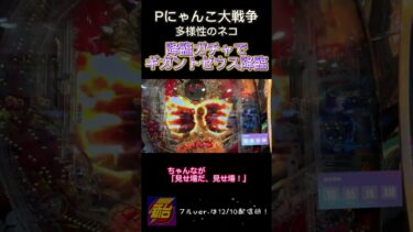 【Pにゃんこ大戦争 多様性のネコ】朝イチから降臨ガチャで信頼度77.2％のギガントゼウスが出現!!! #shorts #Pにゃんこ大戦争