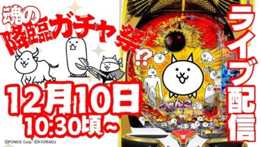 【Pにゃんこ大戦争 多様性のネコ】朝イチからの3時間1本勝負！5万発の大勝利たのまい!!