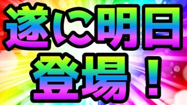 遂に明日来るぞ！という事で永久停止したった　にゃんこ大戦争