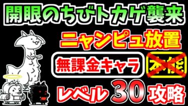 【にゃんこ大戦争】ニャンピュ放置でオッケー！開眼のちびネコトカゲ襲来！（ちびネコトカゲ進化への道）を本能なし低レベル無課金キャラで攻略！【The Battle Cats】