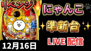 準新台✨Pにゃんこ大戦争 多様性のネコ パチンコLIVE ライブ配信 生配信 リベンジ🔥