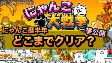 にゃんこ大戦争を半年間プレイしてみたら、、キャラ数やにゃんこメダルを大公開！【にゃんこ大戦争】