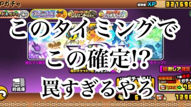 【にゃんこ大戦争】神か悪魔か!?今来てる確定ガチャ。エレメンタルピクシーズと新年ガチャについて考えてみた