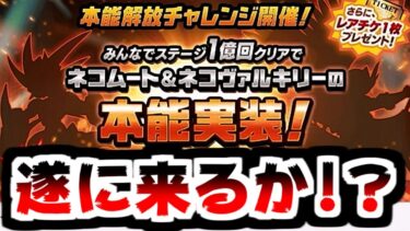 【にゃんこ大戦争】明けましておめでとう！ネコムートとヴァルキリーに本能が来るかもしれない件について！【本垢実況Re#2054】