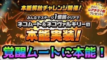 まさかの神アプデ確定か！遂に覚醒ムートとヴァルキリーに本能実装！にゃんこ大戦争