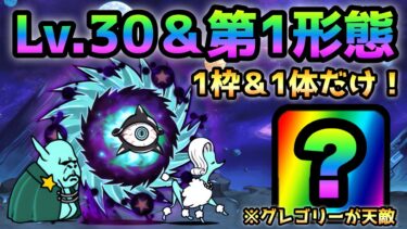 絶望新次元  Lv.30＆第1形態＆1枠＆1体で攻略出来ます　にゃんこ大戦争