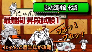 【にゃんこ道検定 昇段試験1】ゴリラの群れを倒せ！にゃんこ歴半年の初心者が攻略してみた［にゃんこ大戦争］