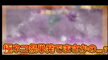 極ネコ祭1連単発引いたらまさかの…？