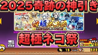 ガチャ○○連引いてみた！2025超極ネコ祭で奇跡の神引きなるか！？