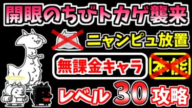 【にゃんこ大戦争】簡単編成でニャンピュ放置！開眼のちびネコトカゲ襲来！（ちびネコトカゲ進化への道）を本能なし低レベル無課金キャラで攻略！スライムなし【The Battle Cats】