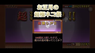 【にゃんこ大戦争】超極ネコ祭り最大の見せ場ってここなのか？ってぐらいの引き弱でした。