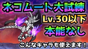 ネコムート大試練  これでも勝てる！  Lv.30以下＆本能なし  にゃんこ大戦争