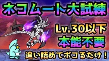 ネコムート大試練これが有れば楽勝！  全キャラLv.30以下で攻略  にゃんこ大戦争　本能解放への道