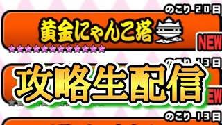 【にゃんこ大戦争】黄金にゃんこ塔1階〜50階攻略配信！！