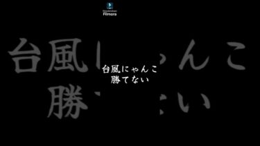 ネコタイフーンに勝利する秘訣は優しい視聴者に頼る事です。#shorts 　#にゃんこ大戦争 #にゃんこ大戦争初心者 #ゲーム #にゃんこ大戦争レアキャラクター第3形態おすすめ