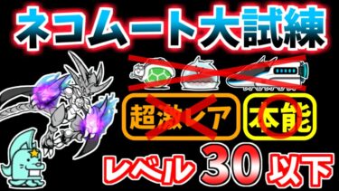 【にゃんこ大戦争】ネコムート大試練（本能解放への道）をレベル30以下で攻略！カメカー、まんじゅう、エクスプレスは不要です【The Battle Cats】