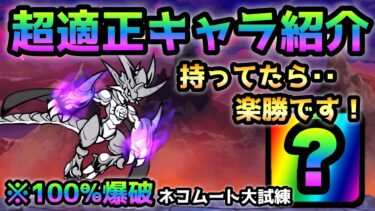 ネコムート大試練これが有れば超ヌルゲー確定　オススメキャラを紹介　にゃんこ大戦争