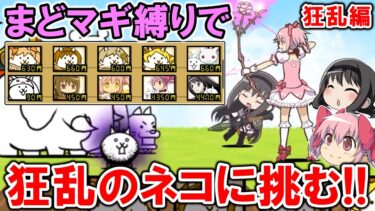 【にゃんこ大戦争】「まどマギ縛り」で狂乱のネコに挑む‼(vs狂乱編)【まどマギコラボ・ゆっくり実況】