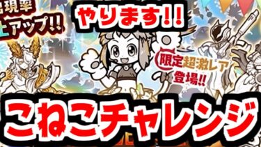 【にゃんこ大戦争】こねこチャレンジ開幕！闇鍋レベル高いけど狙うしかない！【本垢実況Re#2092】