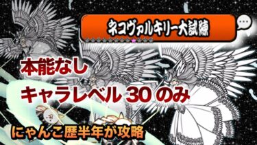 【ネコヴァルキリー大試練】本能なし、キャラレベル30縛りでにゃんこ歴半年が攻略してみた！体力、攻撃力のにゃんコンボアリ［にゃんこ大戦争］