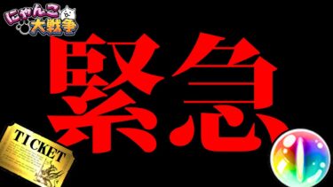 【超緊急】これは絶対見てください！！　にゃんこ大戦争