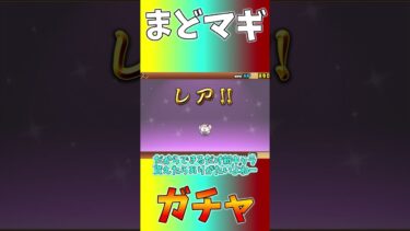 【プラチケ】友達とプラチケ同時引きした結果…【にゃんこ初心者エンジョイ勢の攻略記#62】