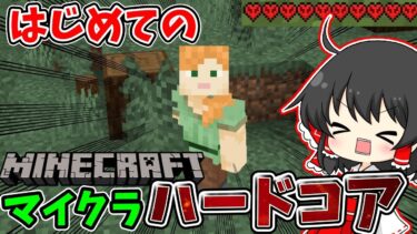 マイクラ　エンドラ討伐目指してはじめてのハードコア配信！！1日目