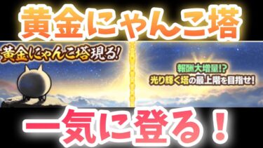 🔴【神報酬！？】 黄金にゃんこ塔を制覇する配信 【にゃんこ大戦争】