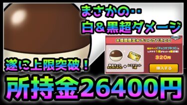 チョコサプネコ　2属性超ダメ＆所持金が26400円に！　性能紹介　にゃんこ大戦争