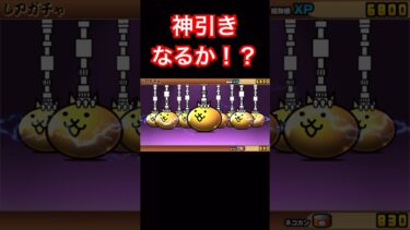 【にゃんこ大戦争】ガチャで神引きなるか！？#にゃんこ大戦争#ラキGame#配信#視聴者#参加型#VIP#shors#ガチャ#10連#伝説レア#undead