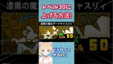 【1分で分かる】レベル30に上げる方法！レベル上限解放の方法【にゃんこ大戦争】【初心者】