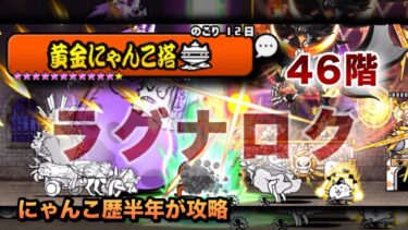 【にゃんこ塔46階】正面から殴り合え！これが怪物大戦争だ！！にゃんこ歴半年が攻略してみた